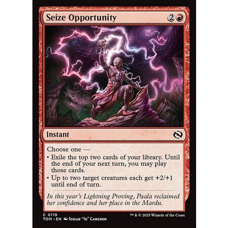 Seize Opportunity - Foil