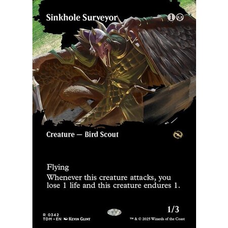 Sinkhole Surveyor - Foil