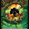 Forest (291) - Dragon Eye Full Art