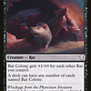 Rat Colony