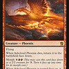 Ashcloud Phoenix