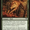 Young Wolf