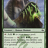 Whisperer of the Wilds
