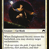 Enlightened Ascetic
