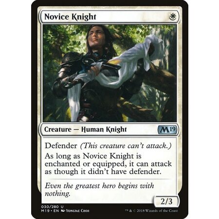 Novice Knight