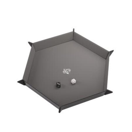 Magnetic Dice Tray: Hexagonal Black / Gray