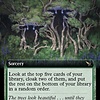 Hide in Plain Sight - Foil