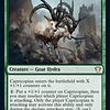 Capricopian
