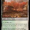 Scattered Groves - Foil