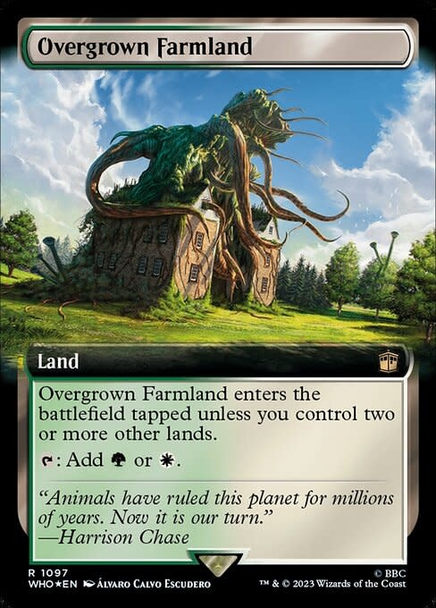 Overgrown Farmland - Surge Foil