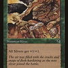 Muscle Sliver