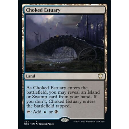 Choked Estuary
