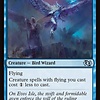 Warden of Evos Isle