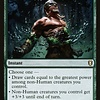 Return of the Wildspeaker
