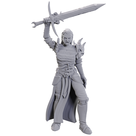 D&D Unpainted Minis - Blackguard