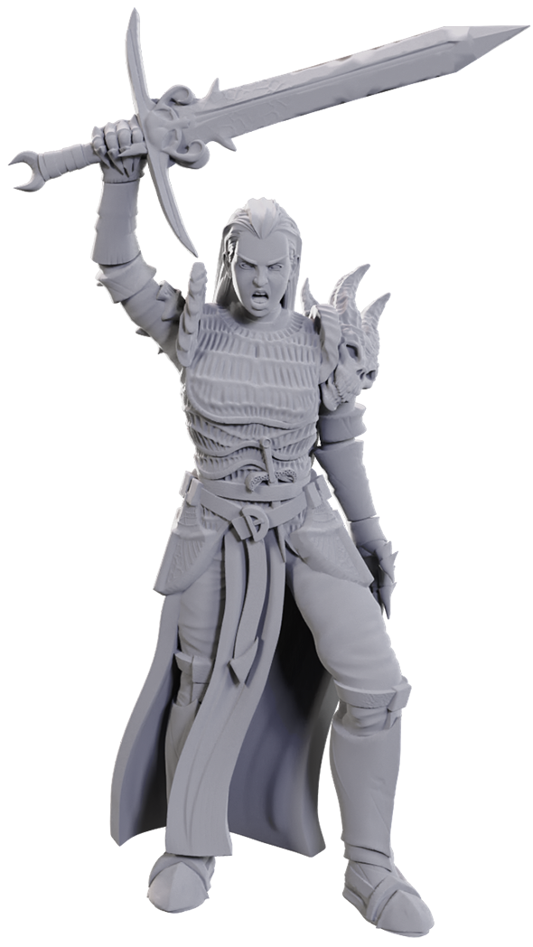 D&D Unpainted Minis - Blackguard