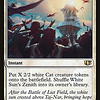 White Sun's Zenith