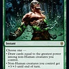 Return of the Wildspeaker - Foil
