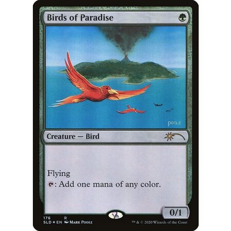 Birds of Paradise