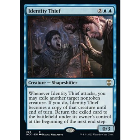 Identity Thief