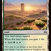 Blossoming Sands