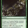 Spider Spawning