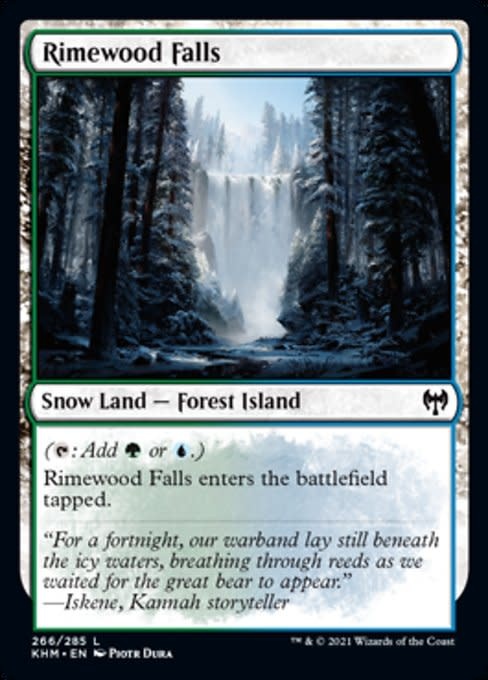 Rimewood Falls (LP)