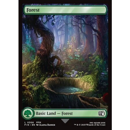 Forest (306) - Full Art Foil