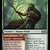 Questing Druid