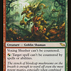 Vexing Shusher (LP)