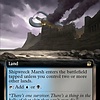 Shipwreck Marsh - Foil