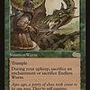 Endless Wurm