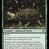 Fecund Greenshell