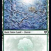 Snow-Covered Forest (285)