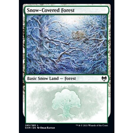 Snow-Covered Forest (285)