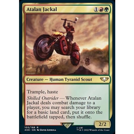 Atalan Jackal