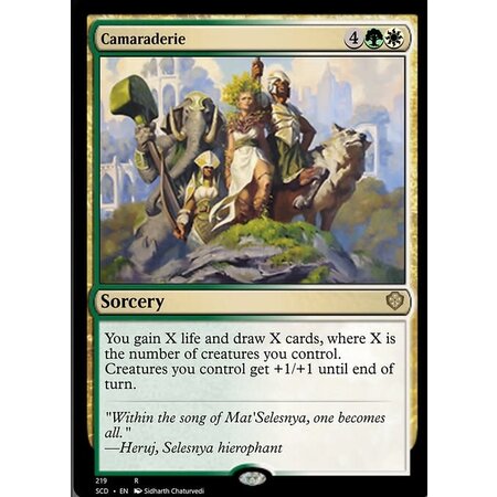 Camaraderie