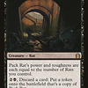Pack Rat