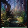 Forest (306) - Full Art