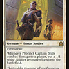 Precinct Captain