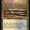 Marsh Flats - Foil