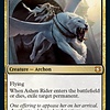 Ashen Rider