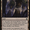 Evolving Wilds