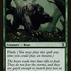 Ashcoat Bear