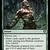 Return of the Wildspeaker