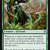 Evolution Sage