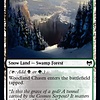 Woodland Chasm