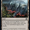 Evolving Wilds
