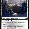 Woodland Chasm