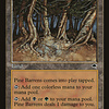 Pine Barrens